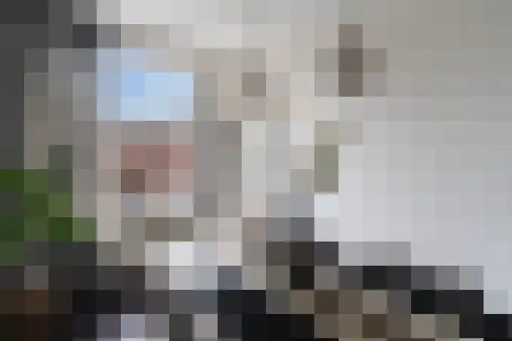 Jan van Loonshof 122 C Rotterdam thumbnail 24