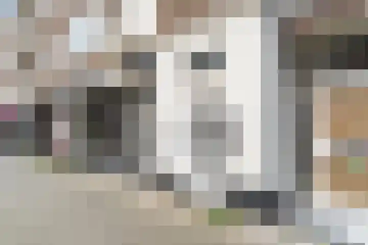 Jan van Loonshof 122 C Rotterdam thumbnail 55