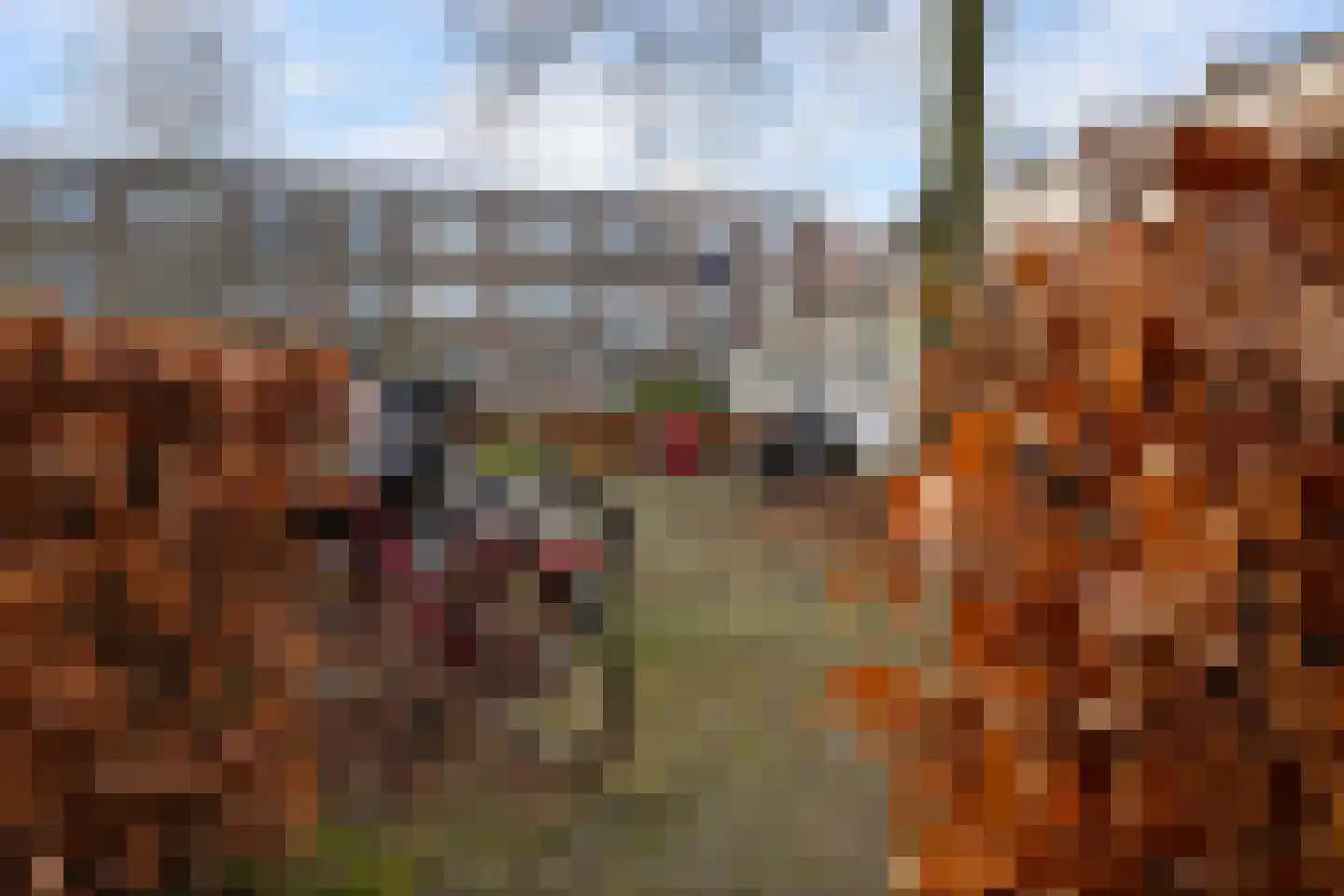Jan van Loonslaan 15 C Rotterdam thumbnail 24