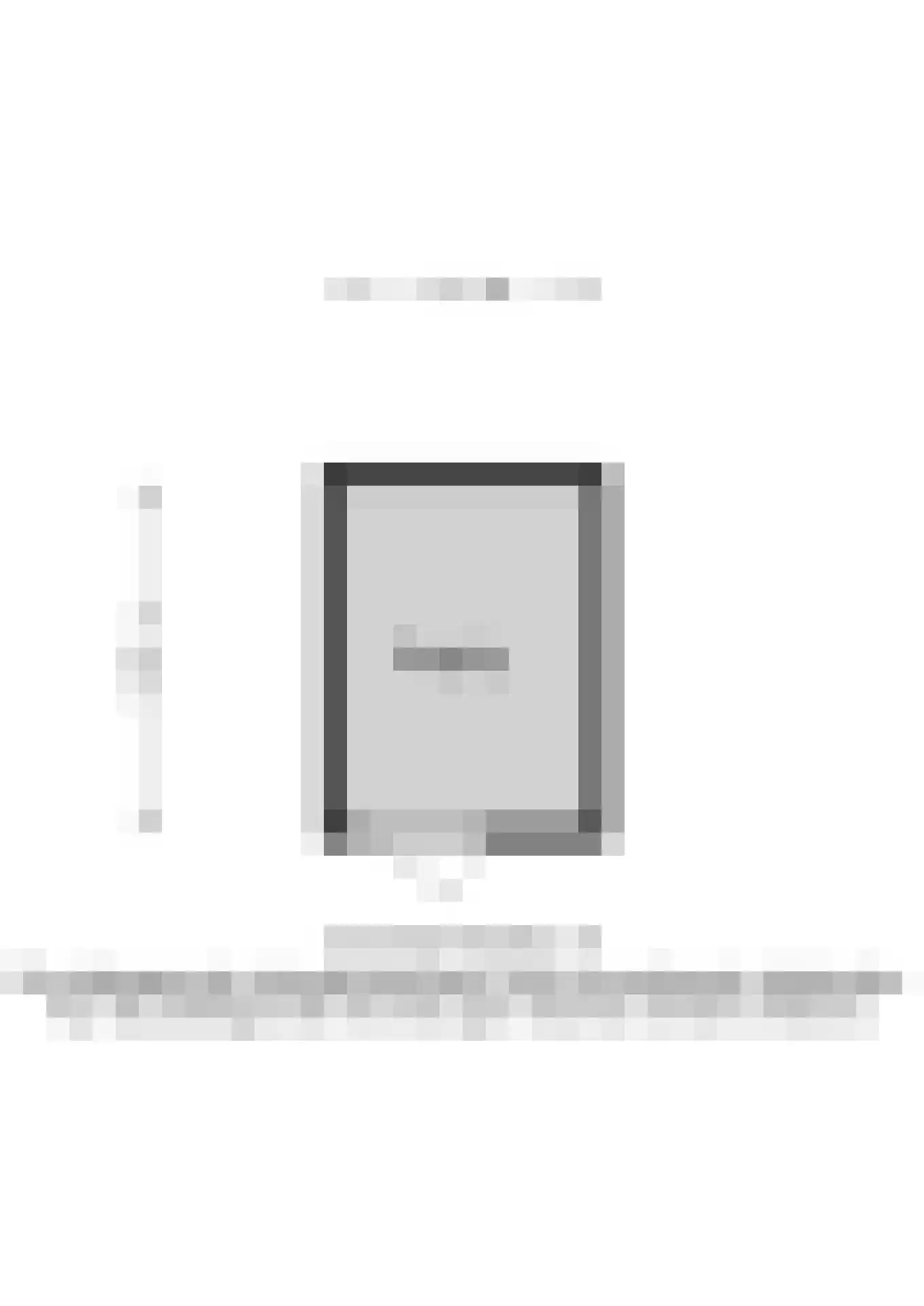 Jan van Loonslaan 15 C Rotterdam thumbnail 32