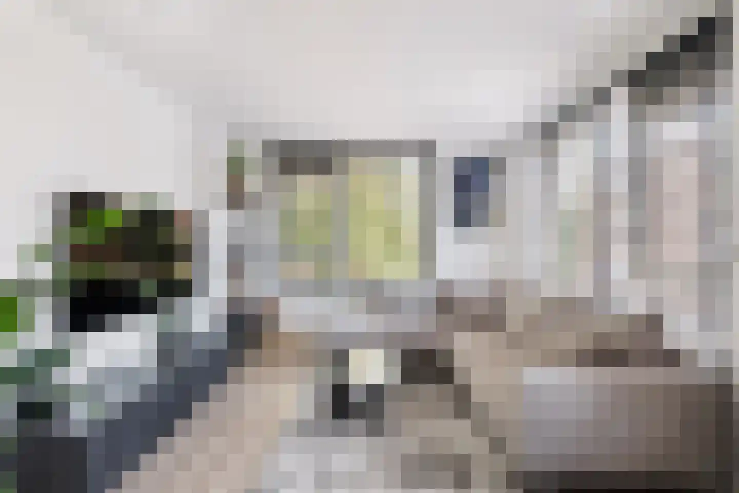 Jan van Loonslaan 15 C Rotterdam thumbnail 7