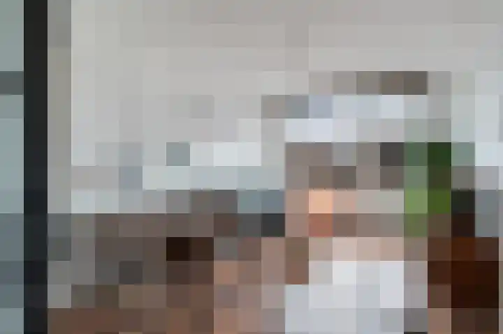 Jan van Loonslaan 18 A Rotterdam thumbnail 11