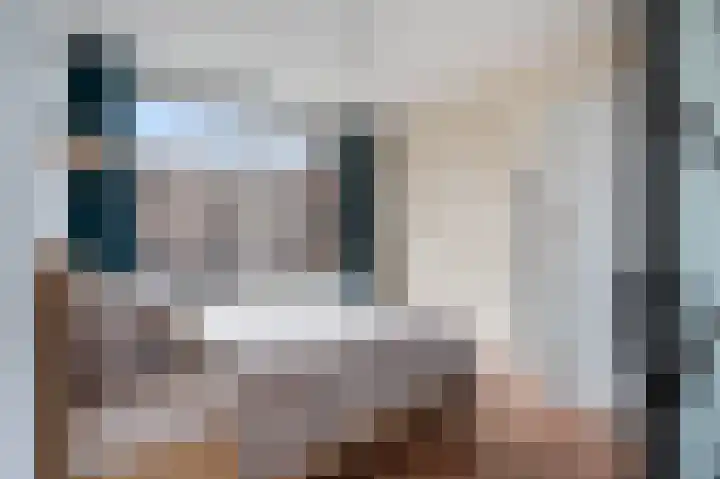 Jan van Loonslaan 18 A Rotterdam thumbnail 15