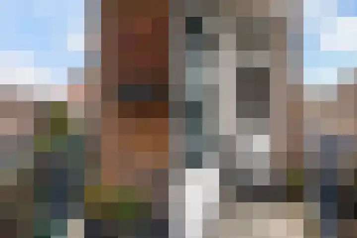 Jan van Loonslaan 18 A Rotterdam thumbnail 18