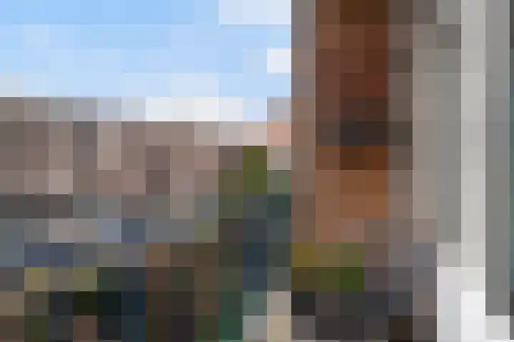 Jan van Loonslaan 18 A Rotterdam thumbnail 19