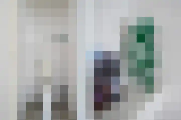 Jan van Loonslaan 18 A Rotterdam thumbnail 23