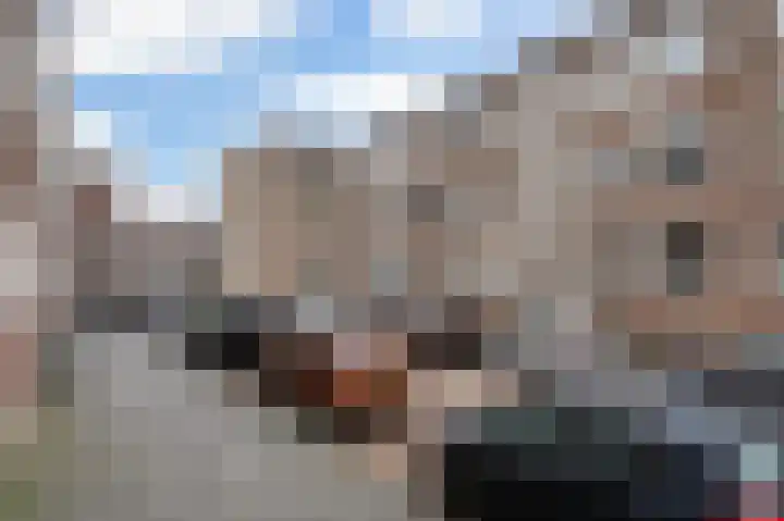 Jan van Loonslaan 18 A Rotterdam thumbnail 26