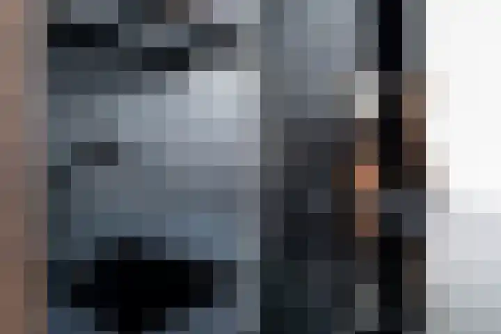 Jan van Loonslaan 18 A Rotterdam thumbnail 7