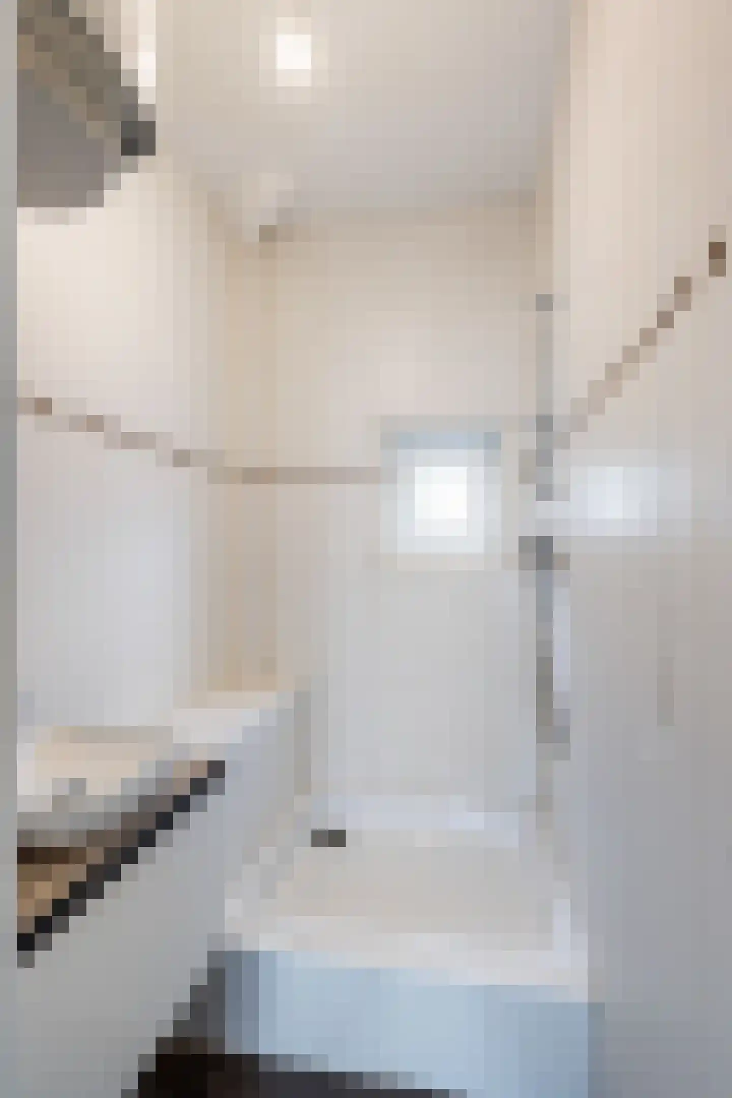 Jan van Loonslaan 32 A Rotterdam thumbnail 14