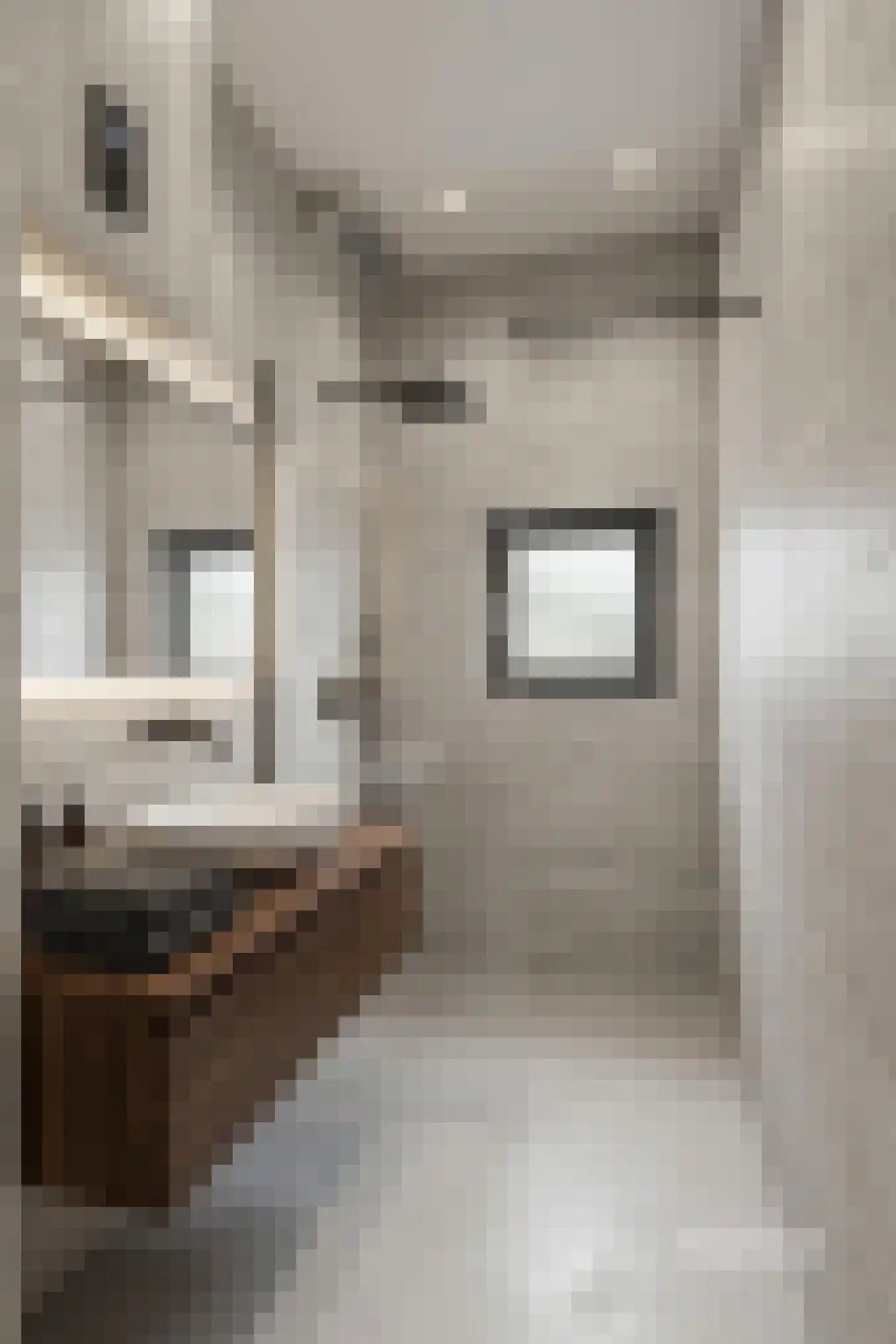 Jan van Loonslaan 32 A Rotterdam thumbnail 15