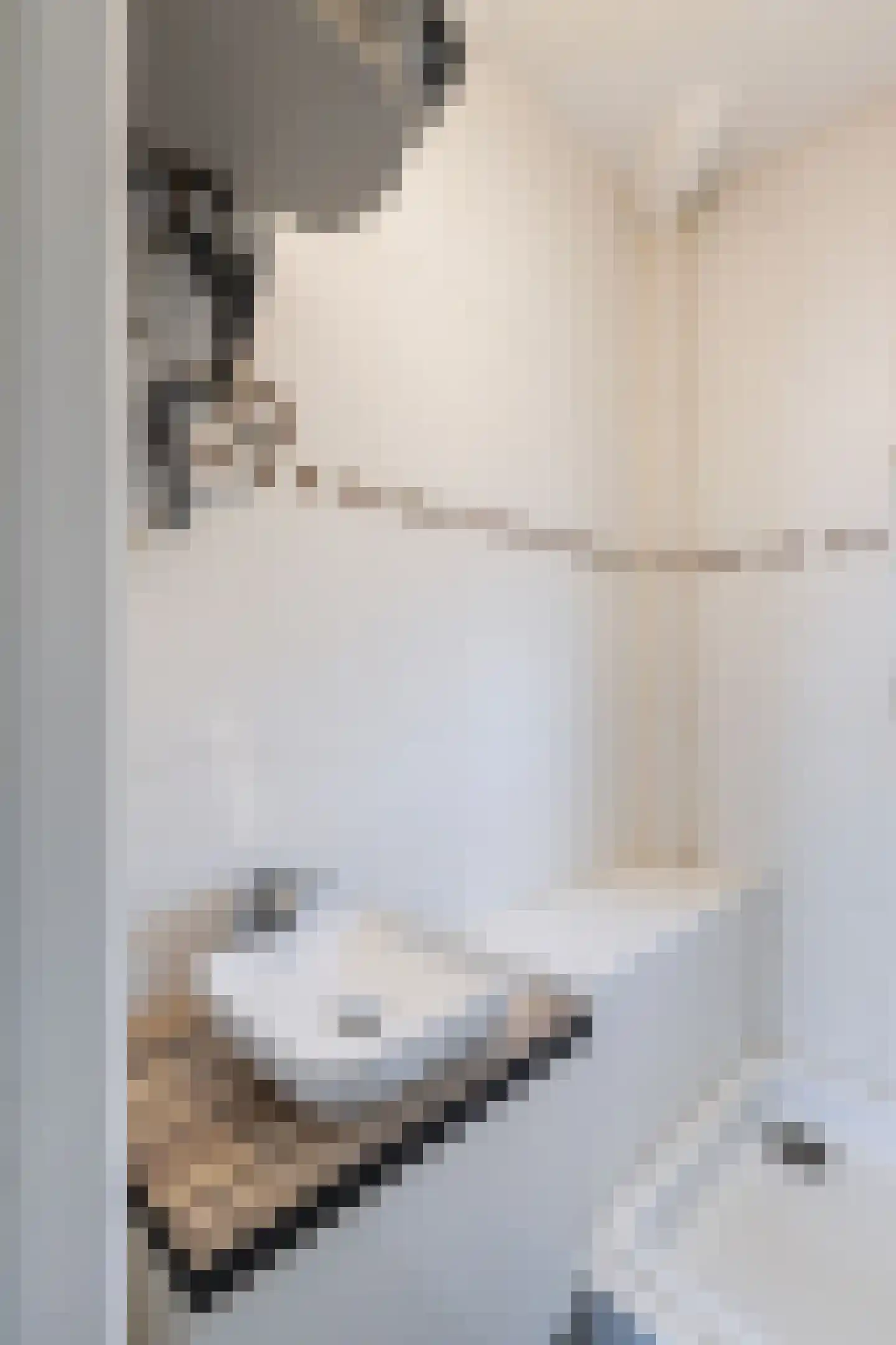 Jan van Loonslaan 32 A Rotterdam thumbnail 16