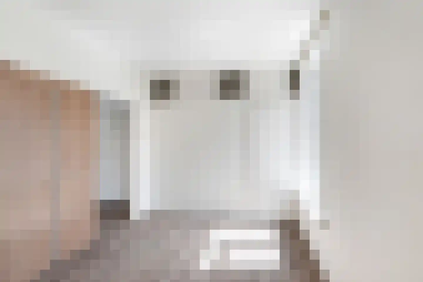 Jan van Loonslaan 32 A Rotterdam thumbnail 21