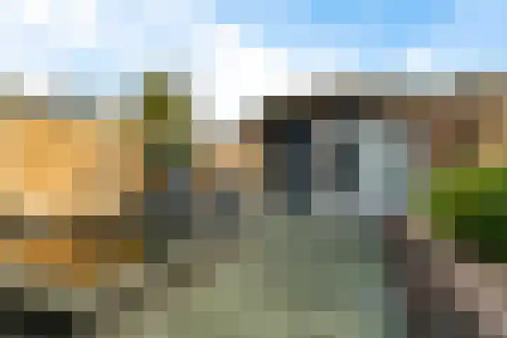 Jan van Malesteinweg 11 A Ermelo thumbnail 31