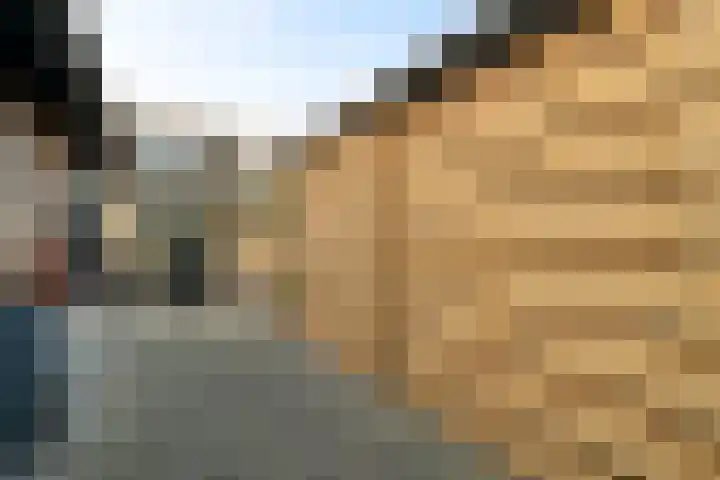 Jan van Malesteinweg 11 A Ermelo thumbnail 32