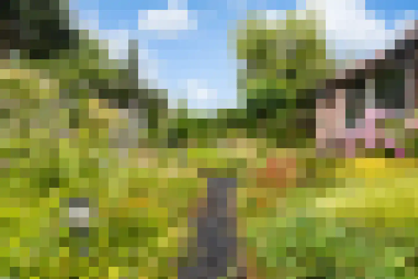 Jan van Malesteinweg 9 Ermelo thumbnail 32