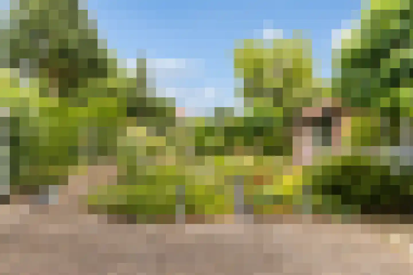 Jan van Malesteinweg 9 Ermelo thumbnail 37