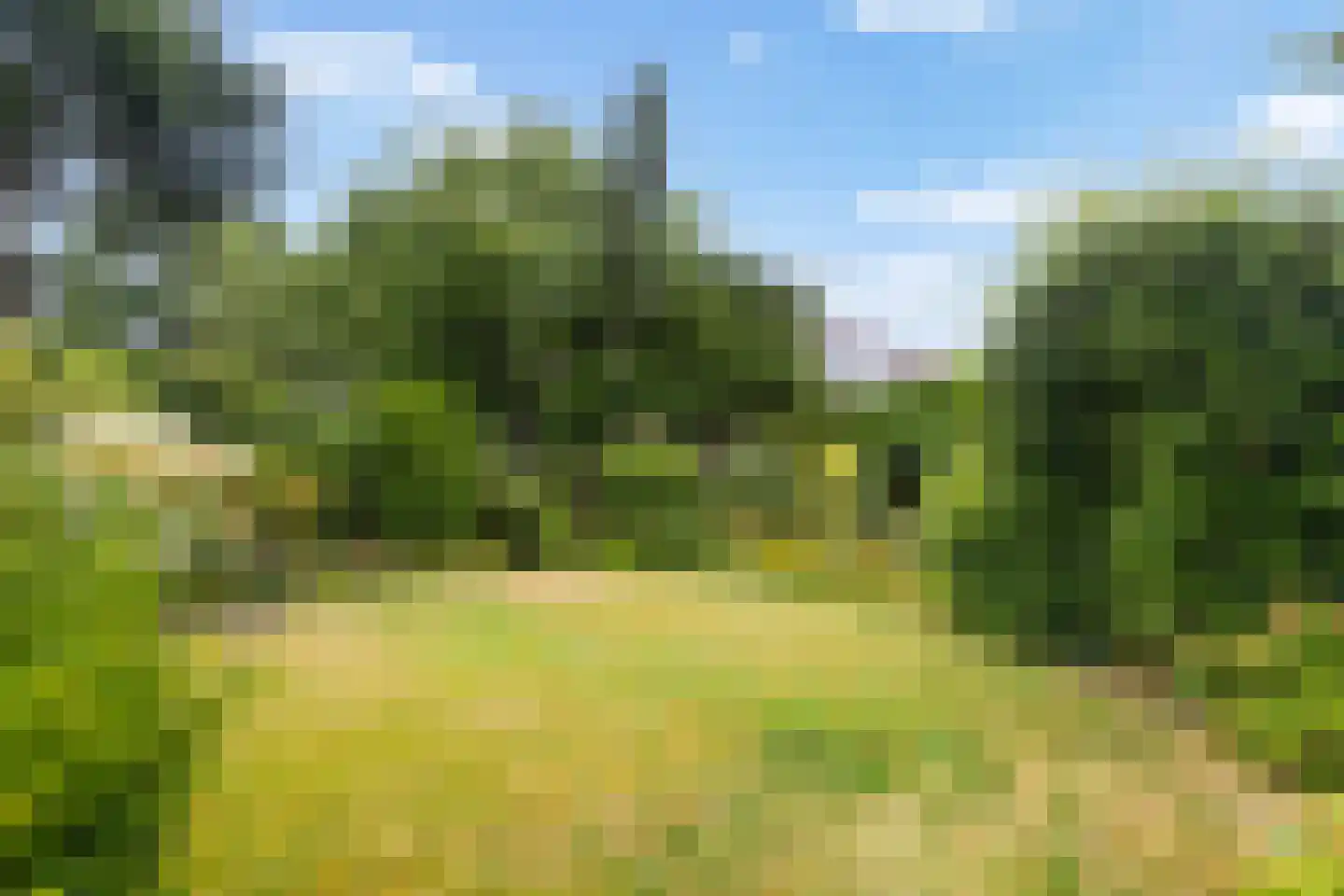 Jan van Malesteinweg 9 Ermelo thumbnail 38