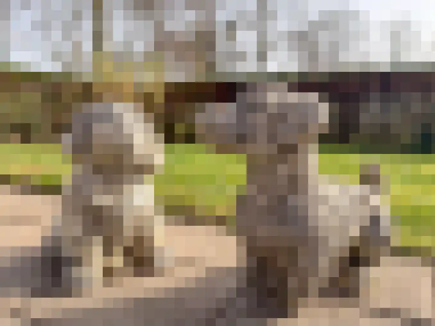 Jan van Nassaupark 33 Harderwijk thumbnail 28