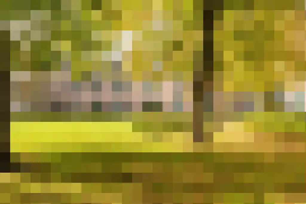 Jan van Nassaupark 33 Harderwijk thumbnail 54