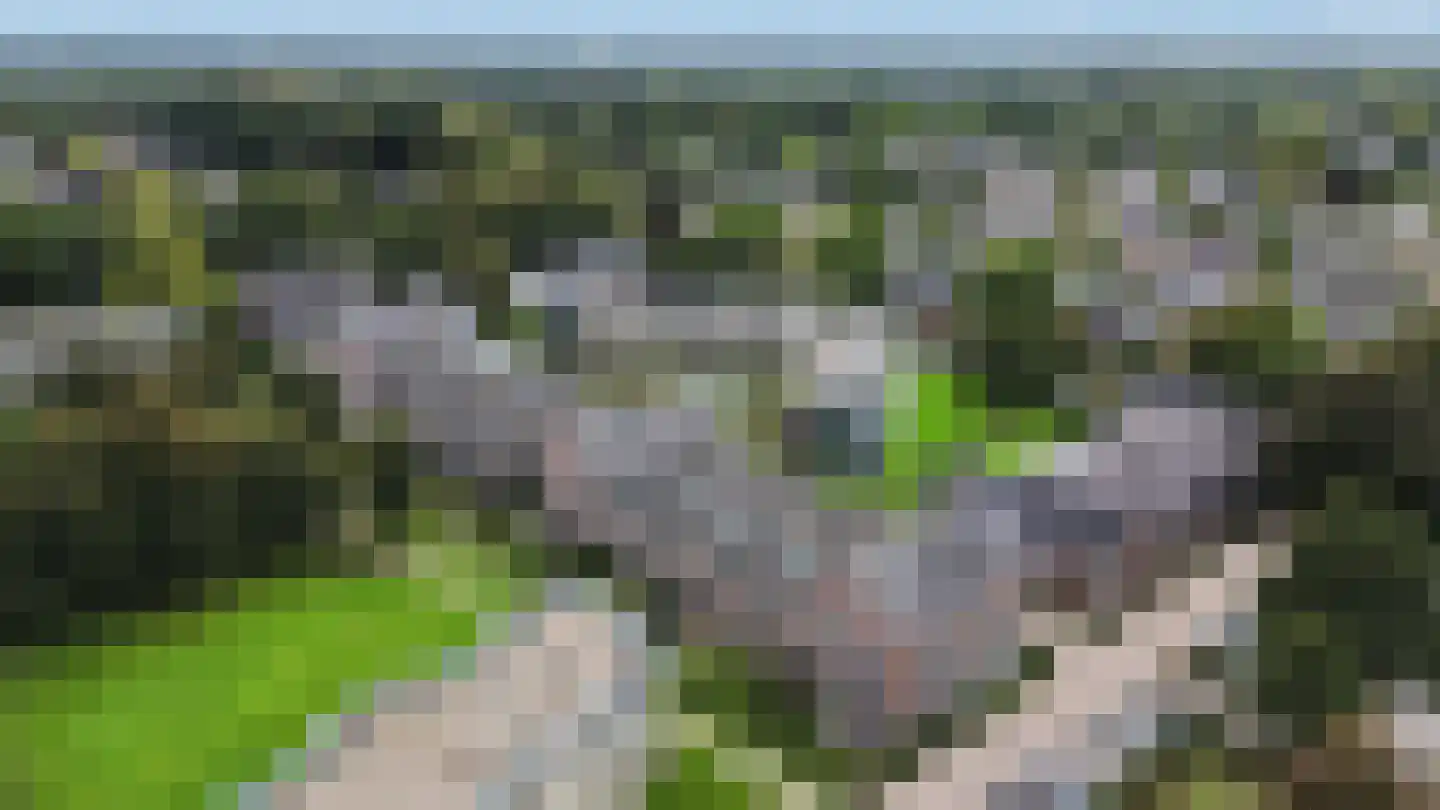 Jan van Nassaupark 38 Harderwijk thumbnail 37