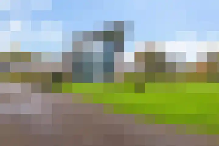 Jan van Nassaupark 91 Harderwijk thumbnail 26