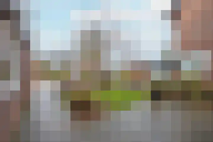 Jan van Nassauplein 6 Buren thumbnail 15