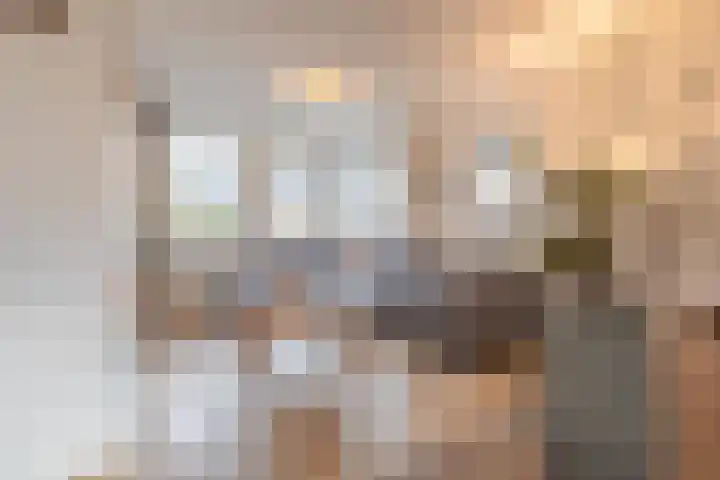Jan van Nassauplein 6 Buren thumbnail 21