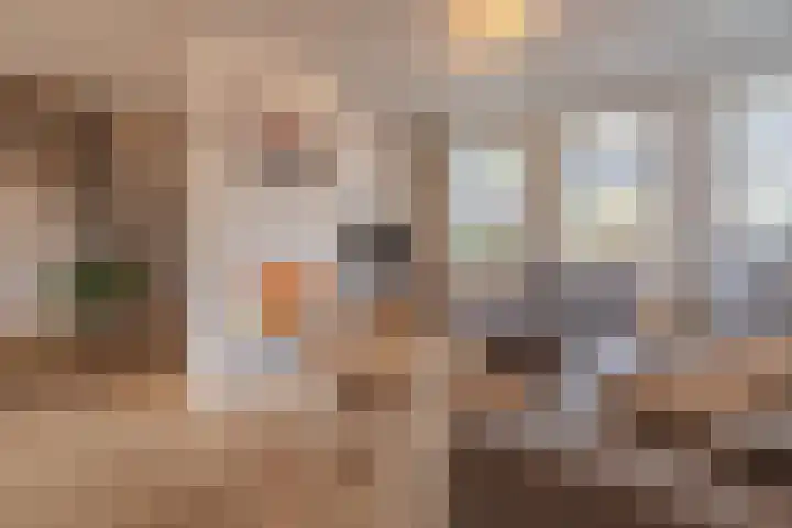 Jan van Nassauplein 6 Buren thumbnail 22