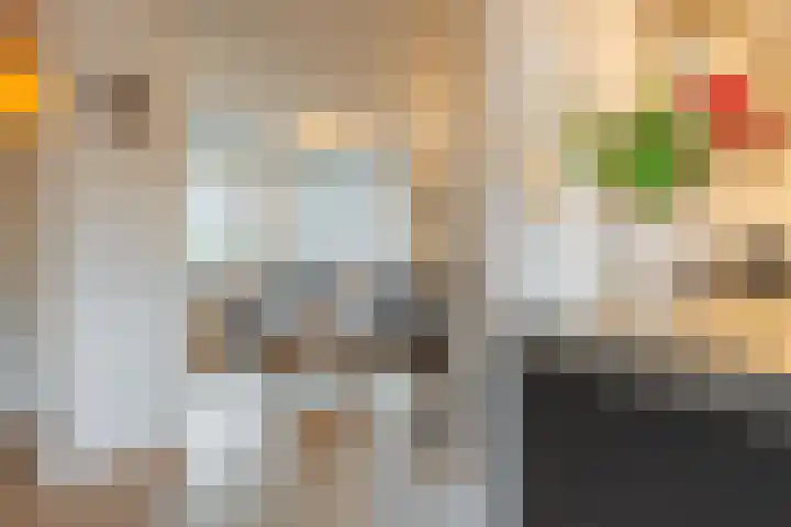 Jan van Nassauplein 6 Buren thumbnail 32
