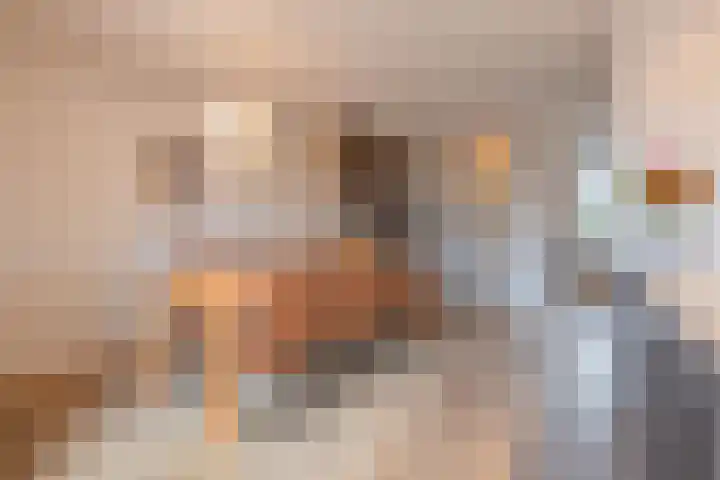 Jan van Nassauplein 6 Buren thumbnail 33