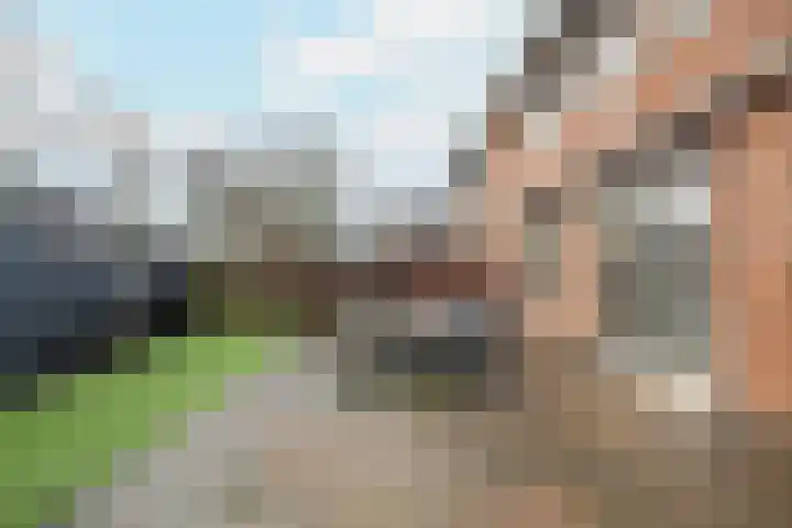 Jan van Nassauplein 6 Buren thumbnail 47