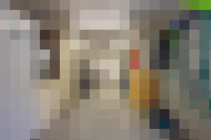Jan van Nassauplein 6 Buren thumbnail 52