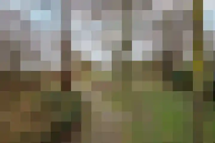 Jan van Nassauplein 6 Buren thumbnail 6