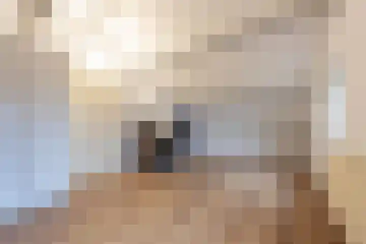 Jan van Nassauplein 6 Buren thumbnail 68