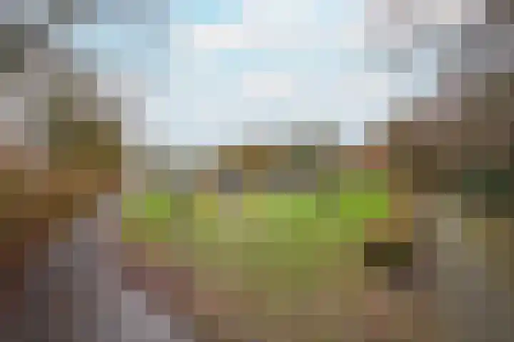 Jan van Nassauplein 6 Buren thumbnail 7