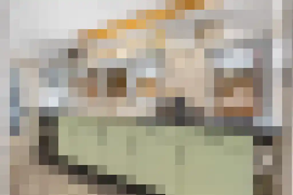 Jan van Nassaustraat 2 Sneek thumbnail 4