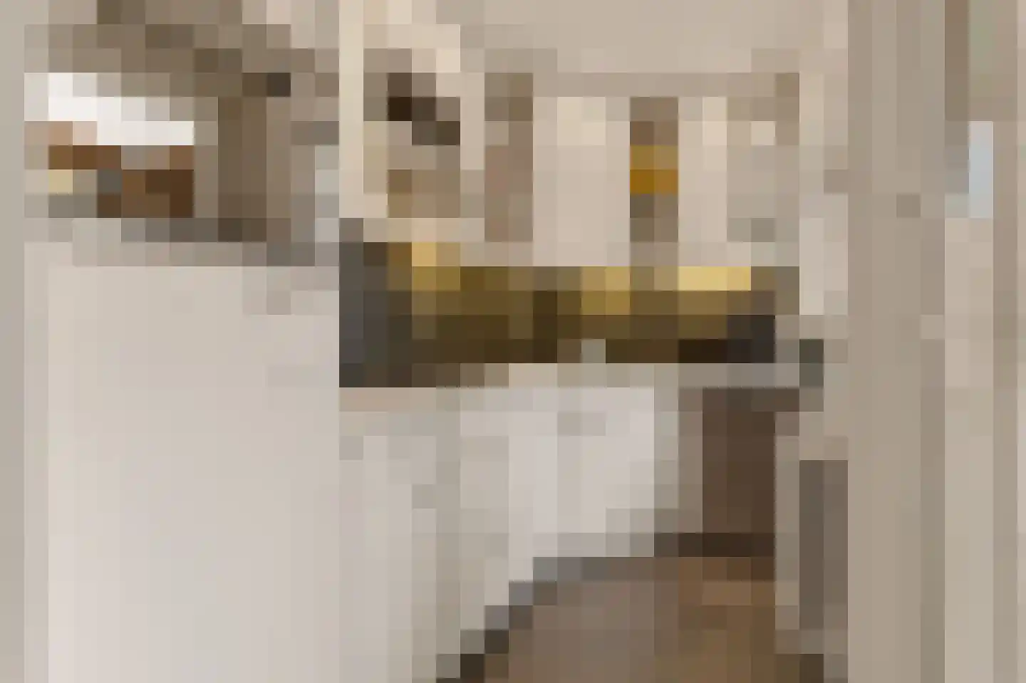 Jan van Nassaustraat 2 Zwijndrecht thumbnail 15
