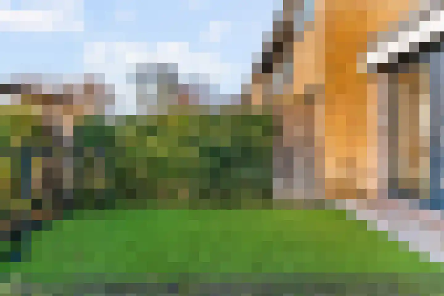 Jan van Nassaustraat 23 Castricum thumbnail 40