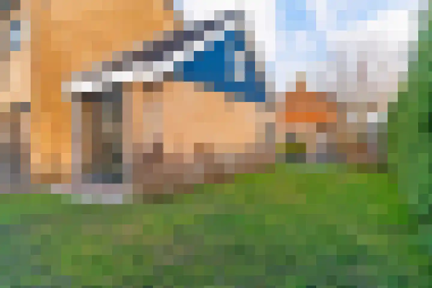 Jan van Nassaustraat 23 Castricum thumbnail 46