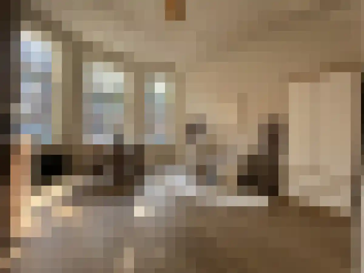 Jan van Nassaustraat 68 Den Haag thumbnail 5