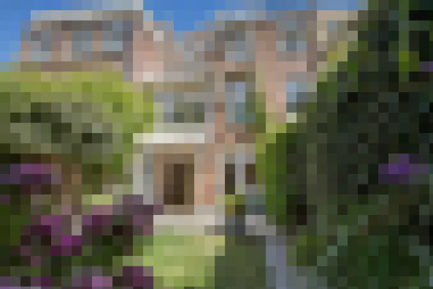 Jan van Nassaustraat 84 Den Haag thumbnail 4