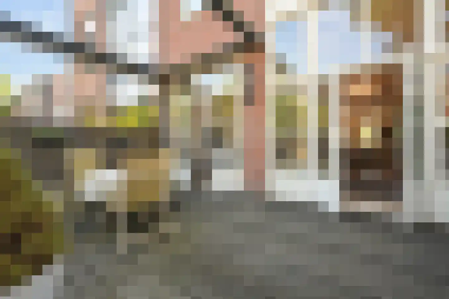 Jan van Nassaustraat 89 Den Haag thumbnail 30