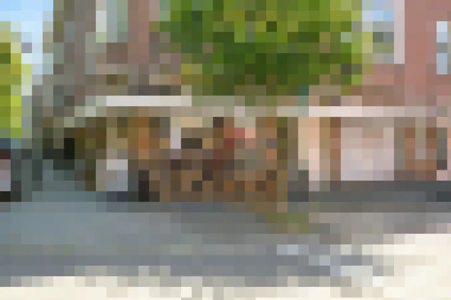 Jan van Nassaustraat 89 Den Haag thumbnail 58