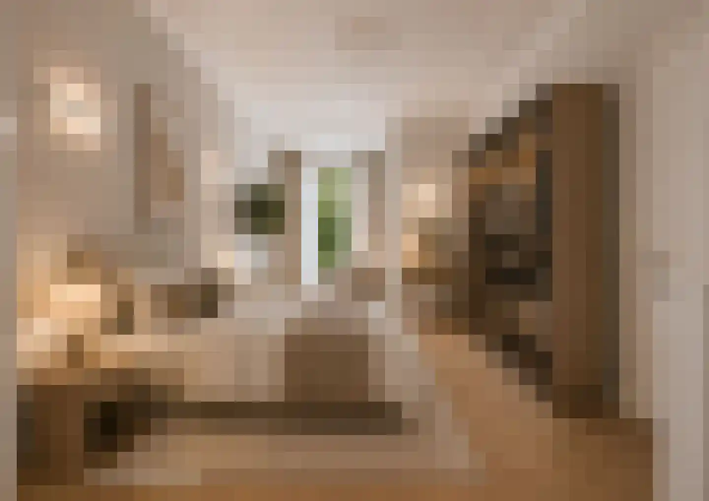 Jan van Nassaustraat 93 Den Haag thumbnail 12