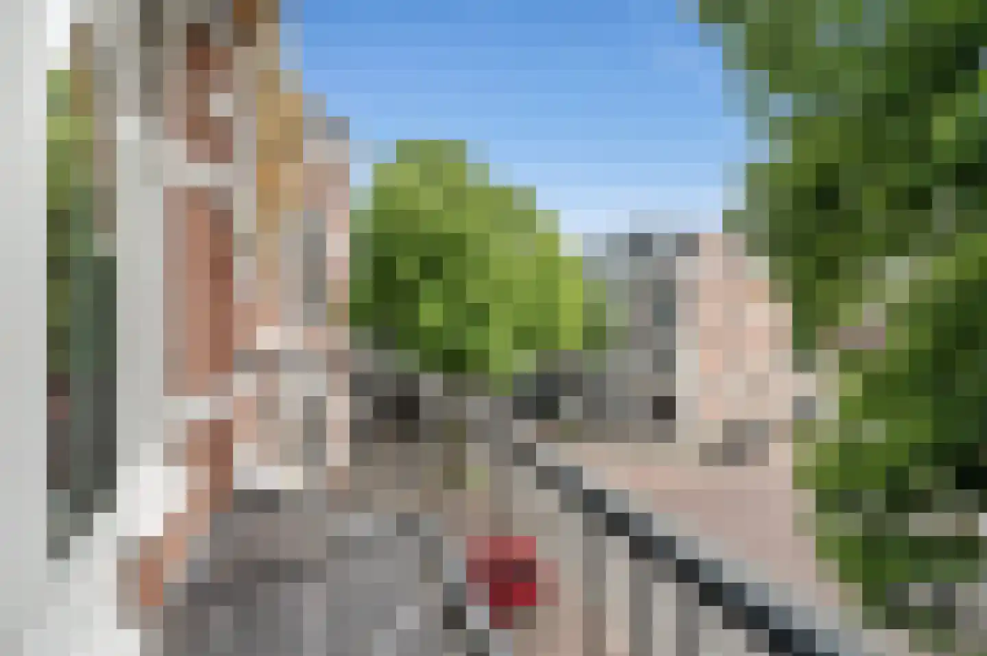 Jan van Nassaustraat 93 Den Haag thumbnail 62