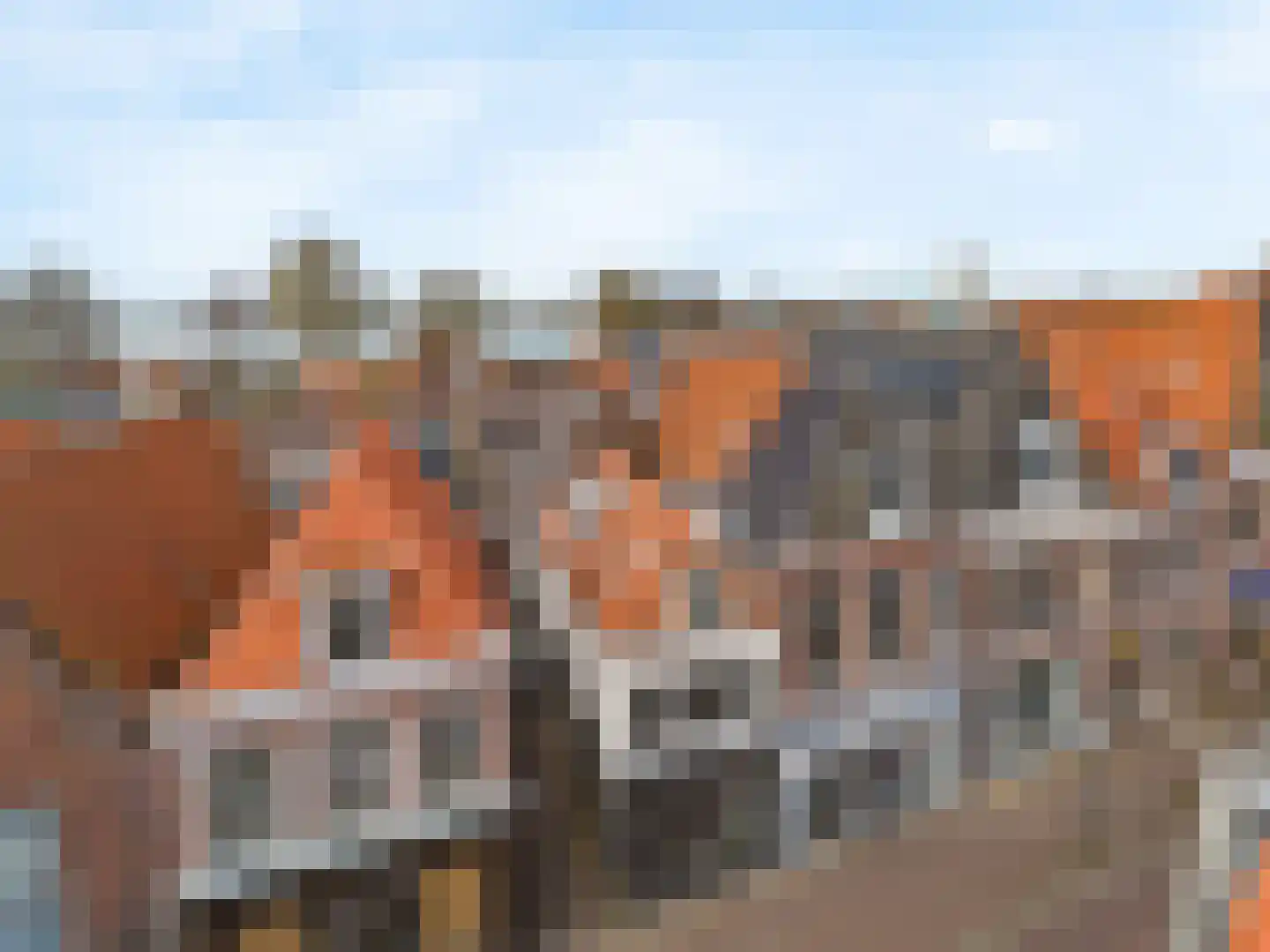 Jan van Necksteeg 4 Hoorn