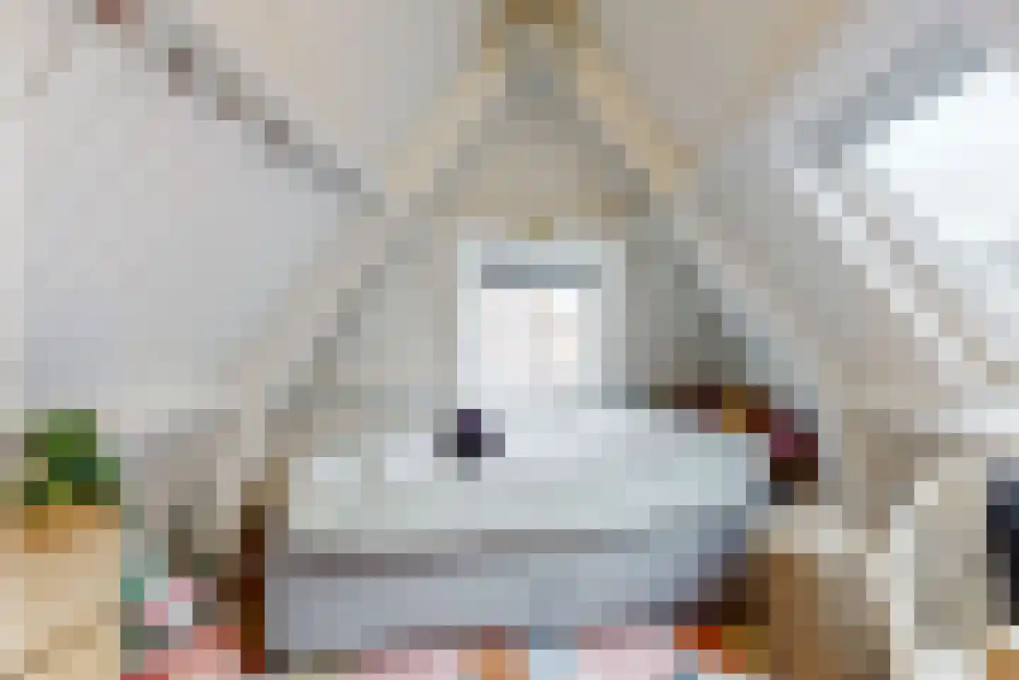 Jan van Necksteeg 4 Hoorn thumbnail 11