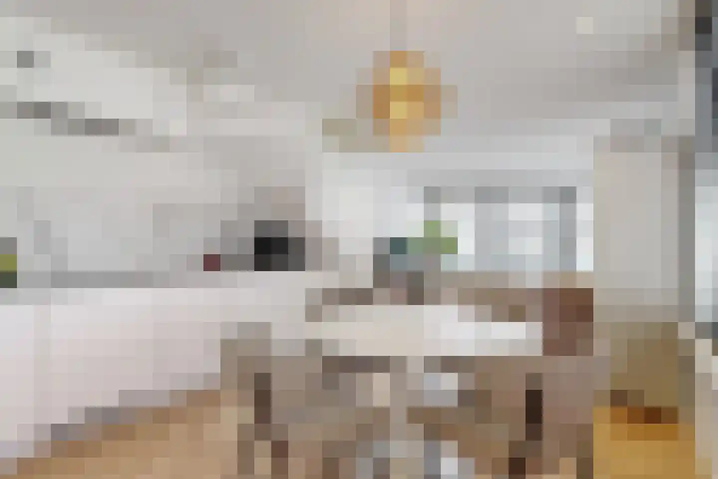 Jan van Necksteeg 4 Hoorn thumbnail 4