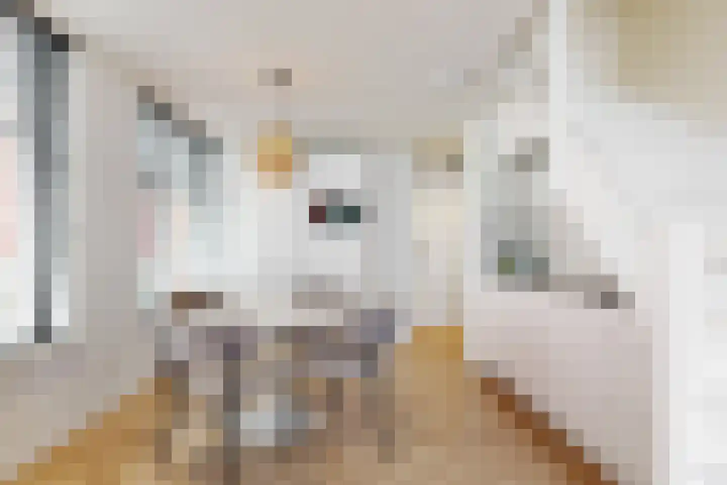 Jan van Necksteeg 4 Hoorn thumbnail 5