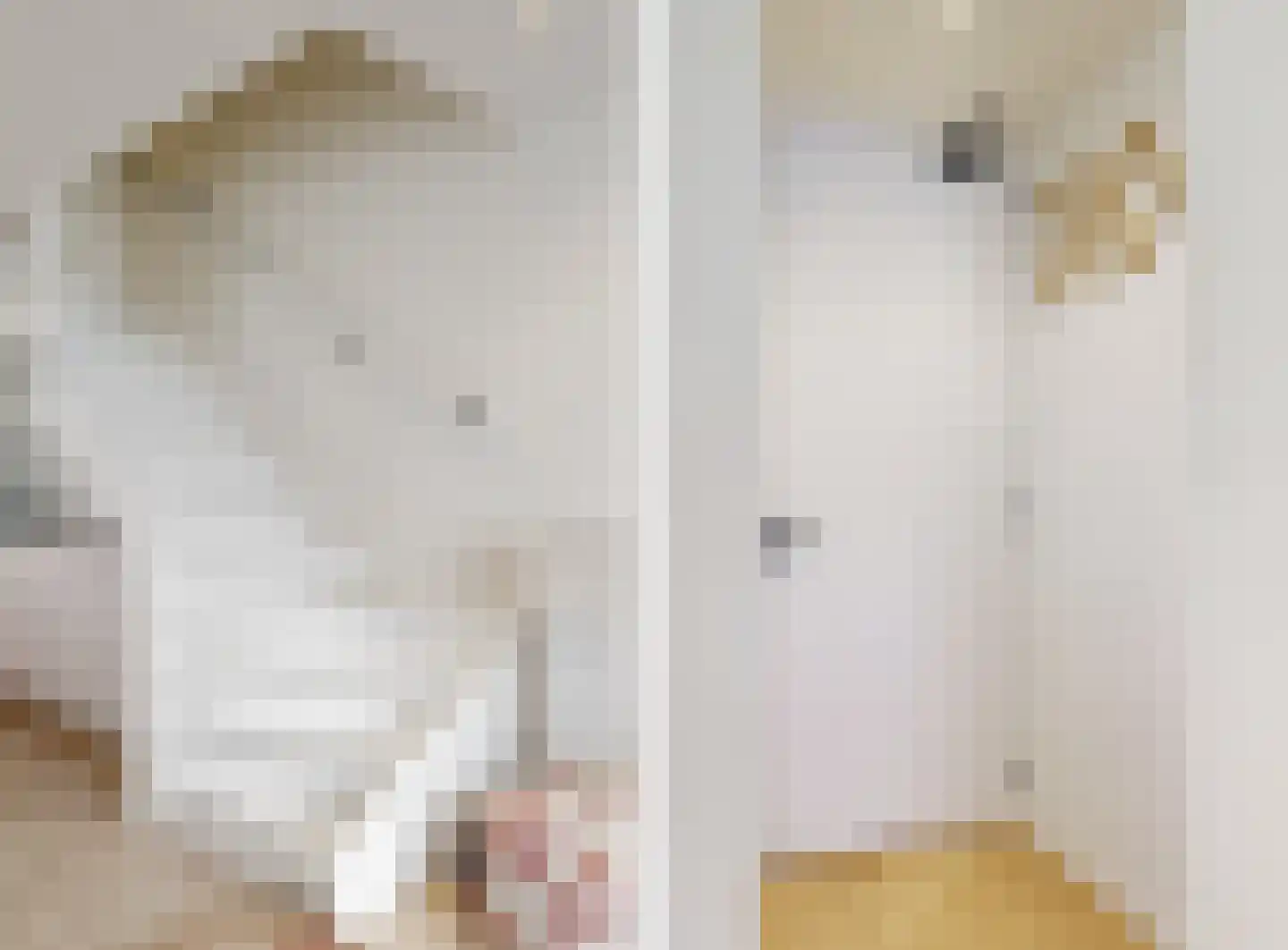 Jan van Necksteeg 4 Hoorn thumbnail 7